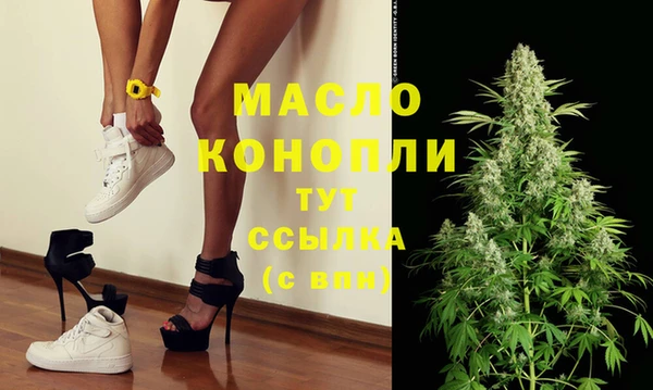 спиды Вяземский