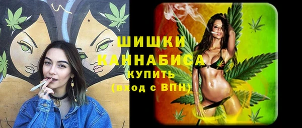 спиды Вяземский