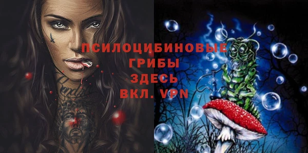 эйфоретик Вязьма