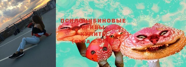 спиды Вяземский