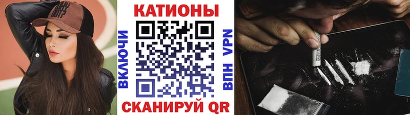 МЯУ-МЯУ мяу мяу  Куртамыш 