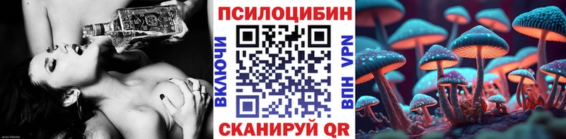 Купить закладки  Куртамыш  Галлюциногенные грибы мицелий 